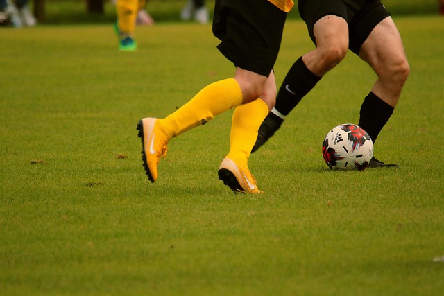 双向合同的 双向合同的