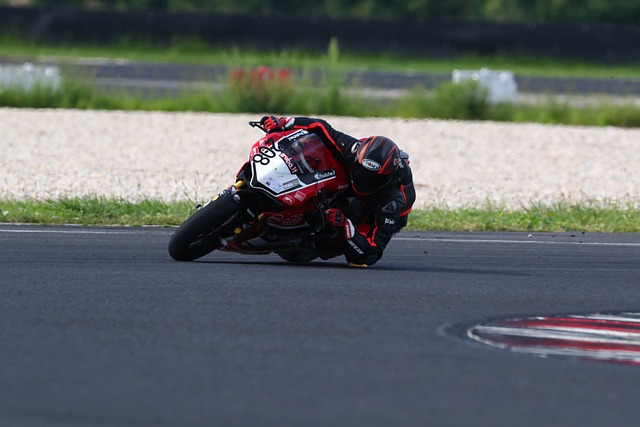 你为这篇文 你为这篇文